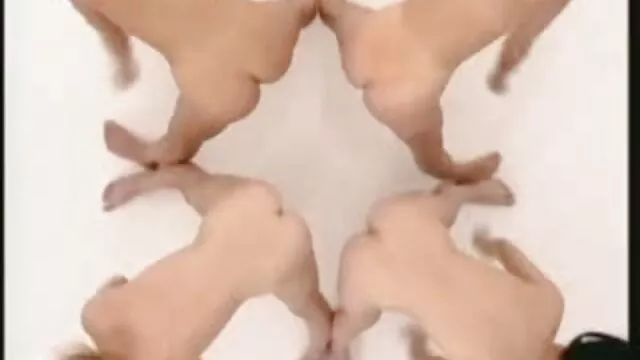 پورنو بدون ثبت نام  سرگرمی با عكس كير شهواني دو سیاه پوست.